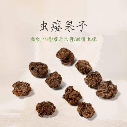 蟲癭果子