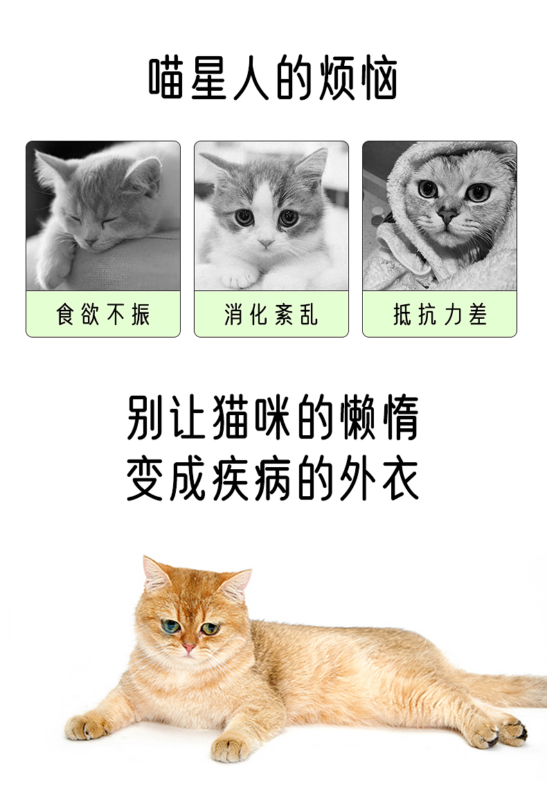 寵物用品,貓薄荷球,貓玩具