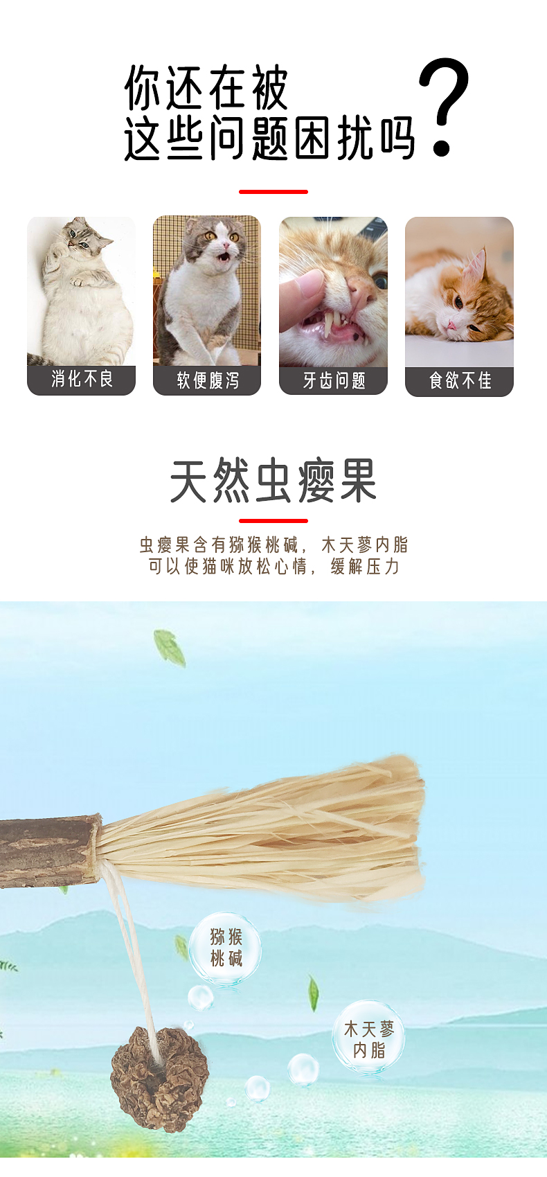 寵物用品,貓薄荷球,貓玩具