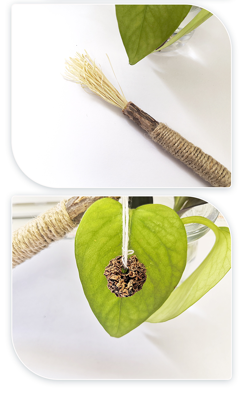 寵物用品,貓薄荷球,貓玩具